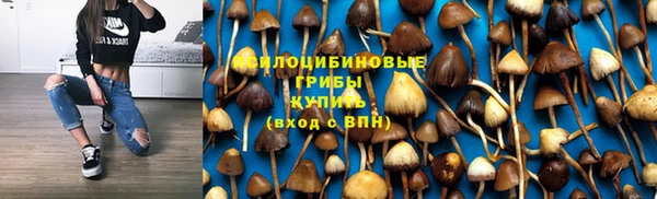 mix Абаза
